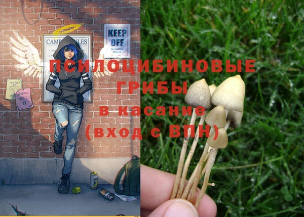 прущие крисы Вяземский