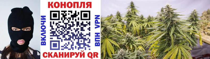 Канабис ГИДРОПОН  Добрянка 
